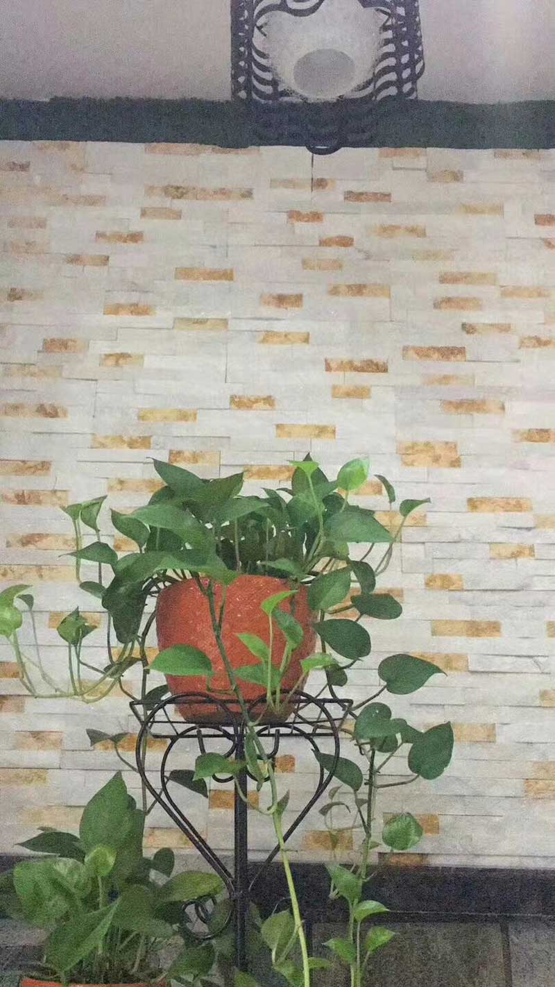 ��(n��i)�b����