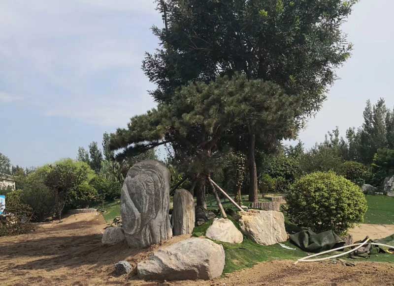 �@�־��^����